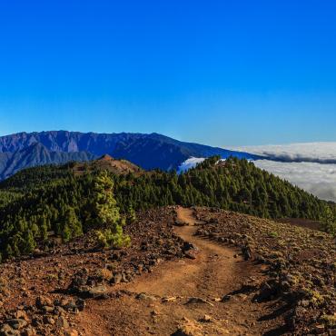 Randonnée la palma - La Palma, isla bonita - Randonnée - Espagne ...