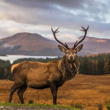 séjour découverte ecosse