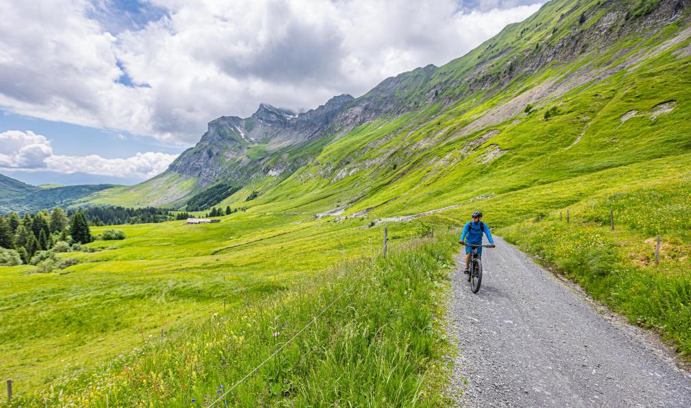 Grez - Nacho - Du lac d'Annecy à Chamonix à vélo, Alpes, France
 - Du lac d'Annecy à Chamonix à VTT - 10