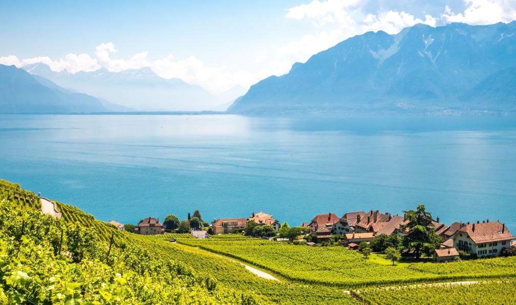 onholidaysagain - Adobe Stock - Les vignes de Lavaux et leur village, le lac et les montagnes du Valais, Suisse - Le Léman, entre lac et montagne à vélo - 1
