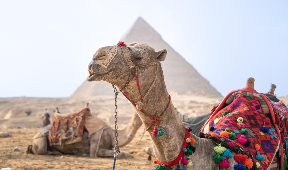 egypte-decouverte-felouque-et-pyramides