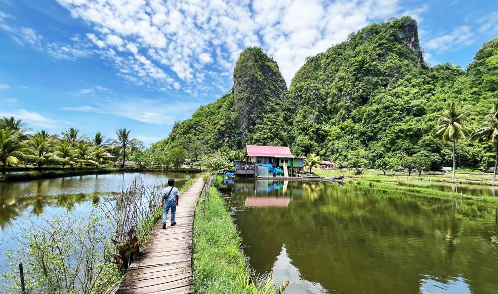 Spaini - Claire - Sentier en bois traversant l'eau, Ramang-Ramang, Sulawesi, Indonésie - Sulawesi : aventure au bout du monde - 1