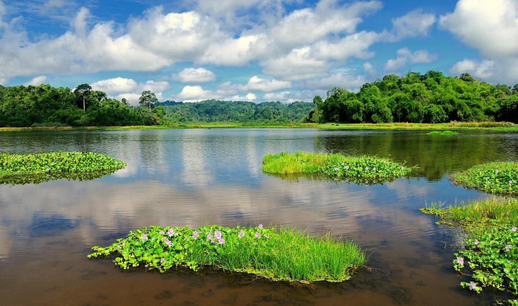 danhvc - Adobe stock - Le lac aux crocodiles du parc national Nam Cat Tien, parc national important situé dans le sud du Vietnam, à environ 150 km au nord d'Hô Chi Minh-Ville, Vietnam.  - Ethnies de Sapa et Delta du Mékong - 7