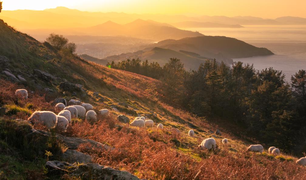 Voyage découverte - Le meilleur du Pays Basque