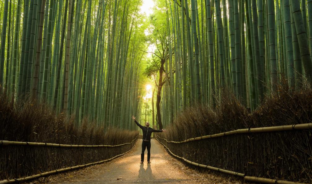 stockstudioX -  Istock -  Forêt de bambous, Japon - Randonnées zen au Japon - 1