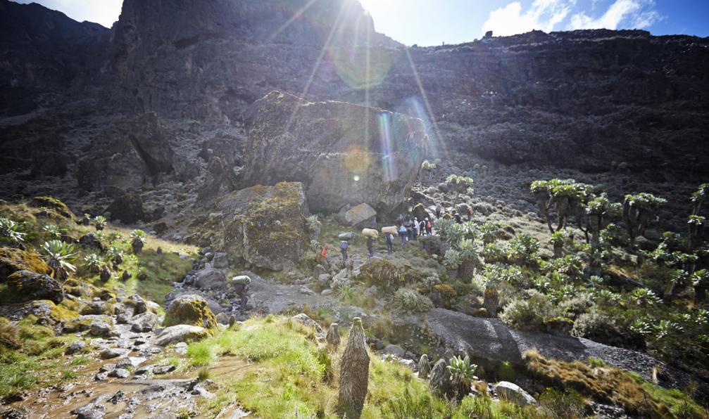 1111IESPDJ -  Istock -  mur de Barranco sur le Kilimandjaro; Tanzanie - Kilimandjaro : voie Machame - 6