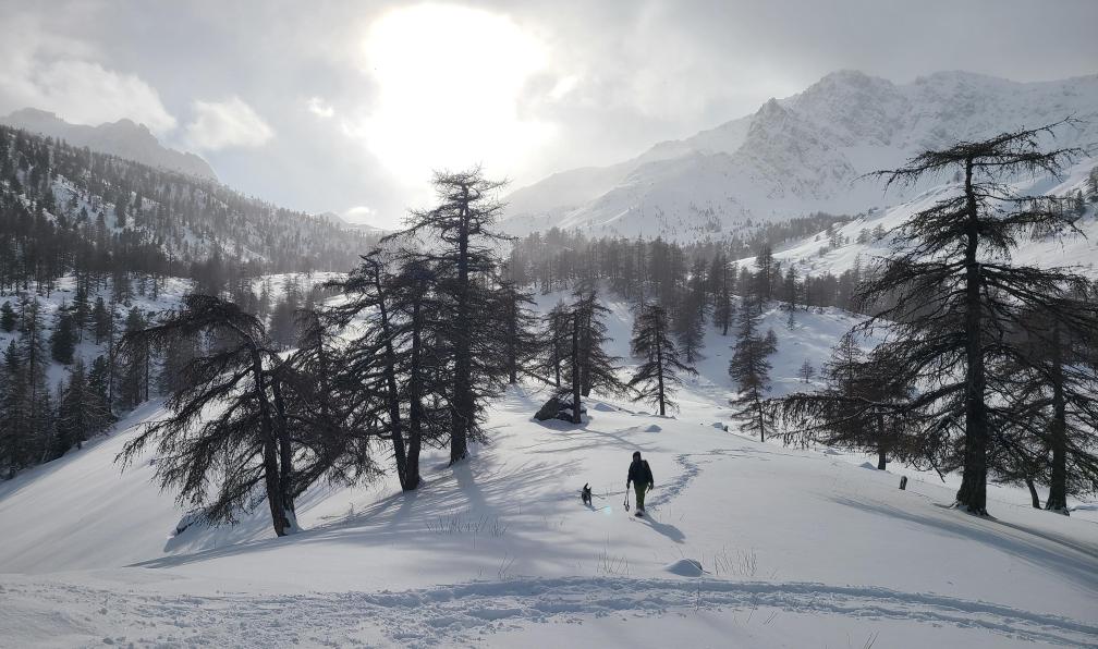 Pellequier - Lucie - Randonneur en raquette dans le vallon de Buffère, Clarée, Alpes, France - Clarée : hameaux et alpages enneigés - 10