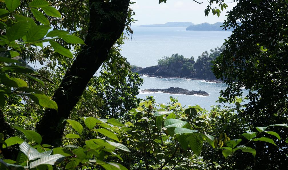 Côte depuis la forêt tropicale, Sao Tomé. - L'île cacao - 2