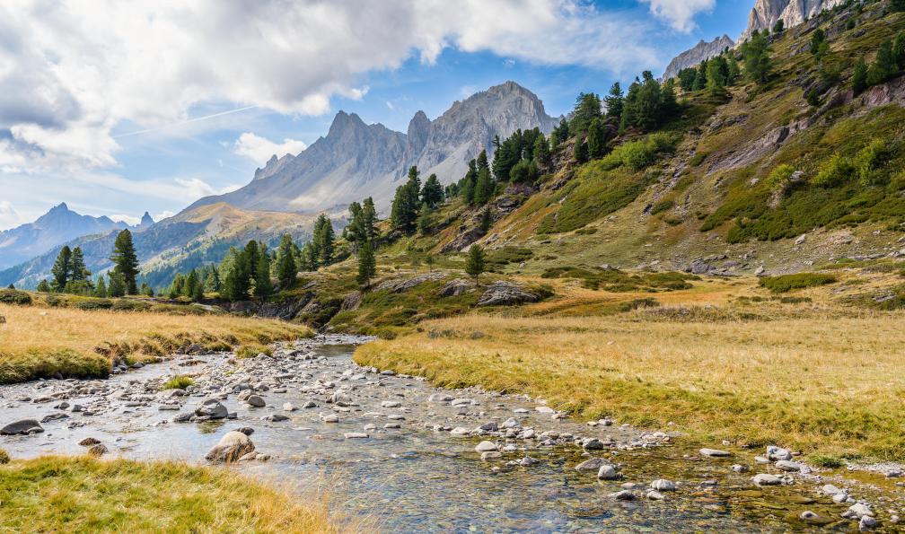 Bückers - Jochen - Adobe stock - Ruisseau au milieu de la vallée de la Clarée, Cerces, Alpes, France - Mont Thabor et sommets de la Clarée - 5