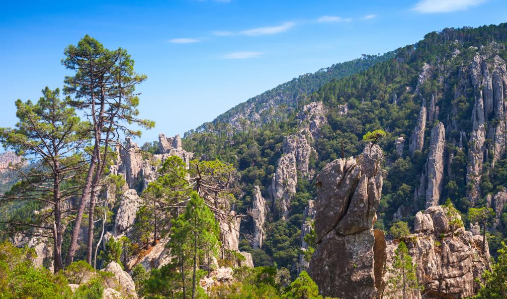 Fotolia -  Aiguilles de Bavella, Corse. - Trésors de la Corse du Sud - 1