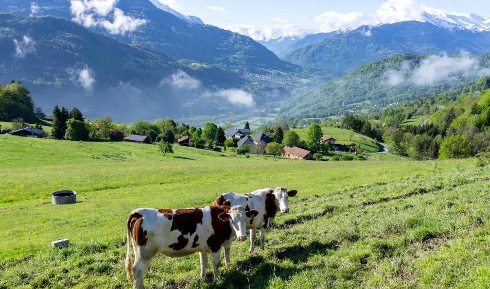 Michel PERES -  Istock -  Les Bauges, Savoie, France - Découverte du parc naturel des Bauges - 3