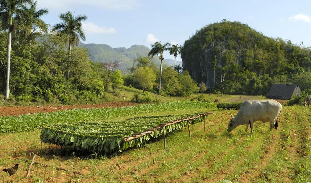 Circuit Cuba 10 jours