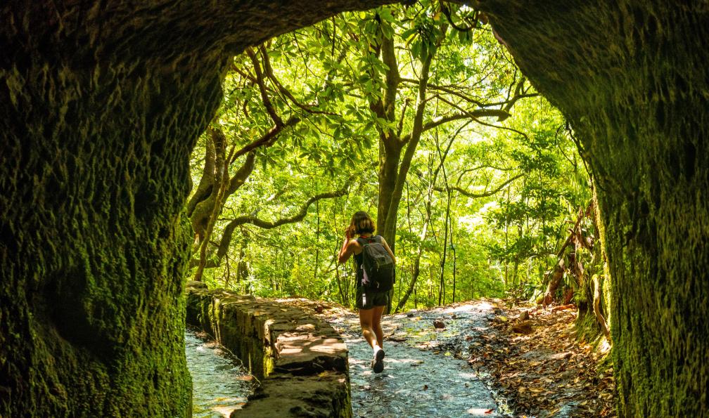 Unai - Adobe Stock - Randonneuse qui passe sous les tunnels de la Caldeirao Verde, Queimadas, Madère - Randonnées de picos en levadas - 3