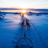 navigation et ski dans les fjords de l'ouest