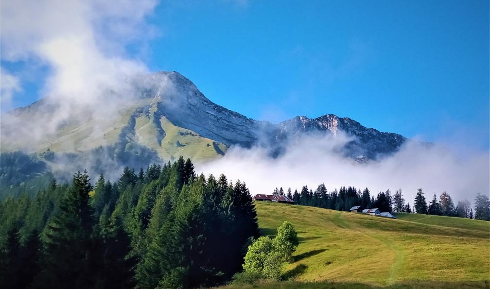 Aux 4 pans - Massif des Bauges, Alpes, France - Mes premiers pas dans les Bauges avec un âne - 1