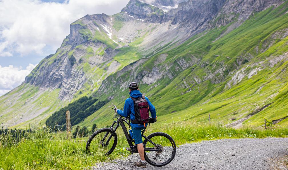 Grez - Nacho - Du lac d'Annecy à Chamonix à vélo, cycliste regardant les sommets alentours, Alpes, France - Du lac d'Annecy à Chamonix à VTT - 8
