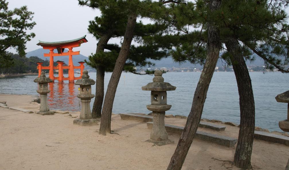 Arbres au bord d'un lac, Miyajima, Japon. - Randonnées zen au Japon - 6