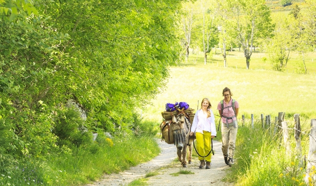 Flament -  Rémi -  Mère et fille durant une étape du chemin de Stevenson avec un âne;France - Le Chemin de Stevenson avec un âne - 2