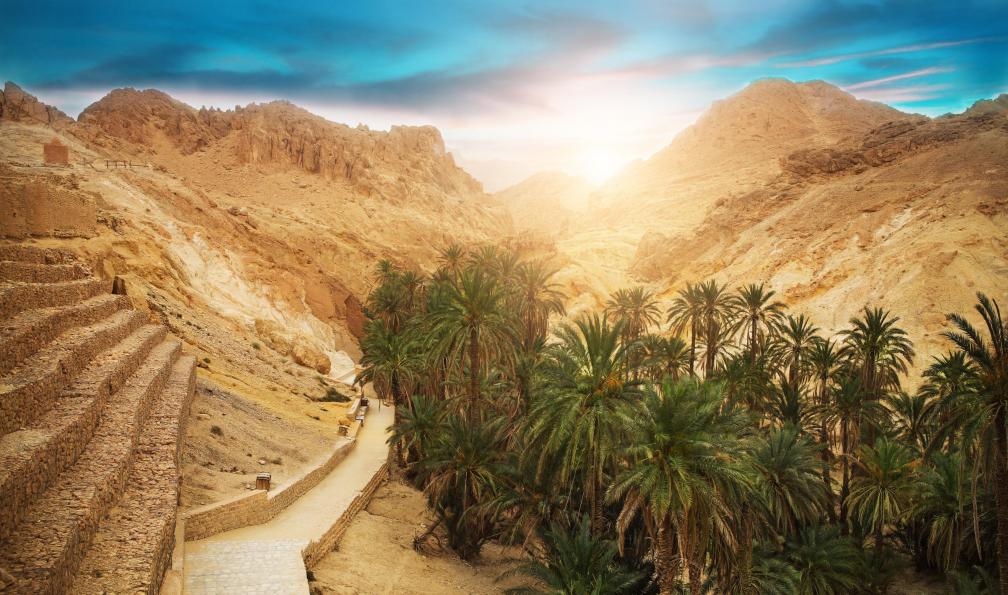 petrenkod -  Istock -  Montagne et oasis de Chebika dans le désert du Sahara;Tunisie - Montagnes, dunes et palmeraies - 5