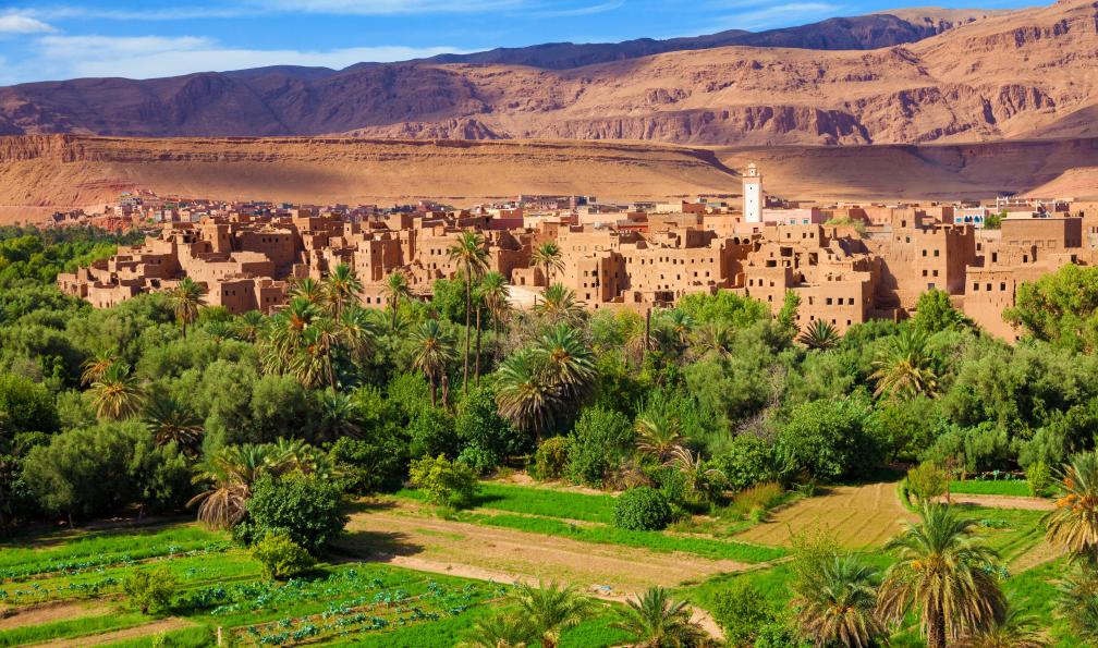 Ignacio Soto - Jose  - stock.adobe.com - Oasis de palmiers de Tineghir au Maroc - Rêves de sable à Merzouga - 6