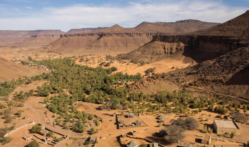 Clément Samuel -  Oasis de l'Adrar, Mauritanie - Les oasis de l'Adrar - 5