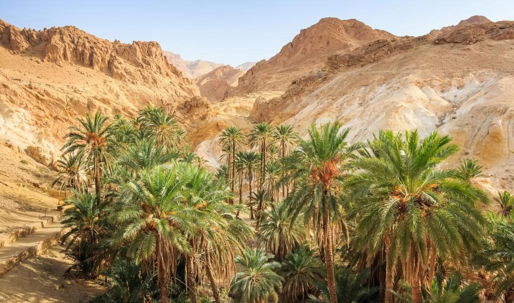 tunisie-randonnee-tunisie