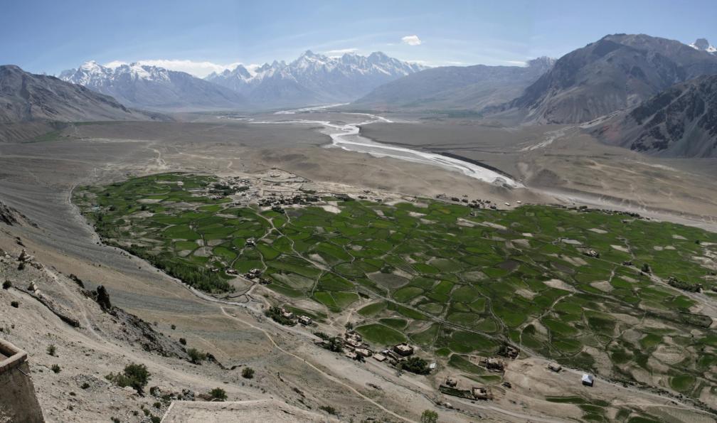 Cultures dans la plaine de Padum, vallée de l'Indus, Zanskar, Inde. - Petit Tibet: Trek dans la vallée de Sham - 4