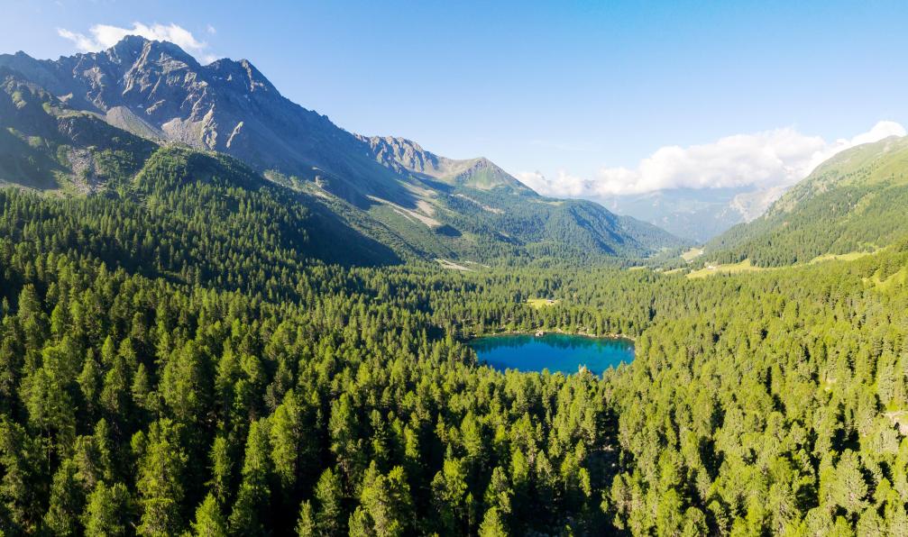 Rebai - Silvano - stock.adobe.com - Panorama sur le lac Saoseo dans le val di Campo, Poschiavo, Suisse - Saint-Moritz et Bernina, joyaux alpins - 8