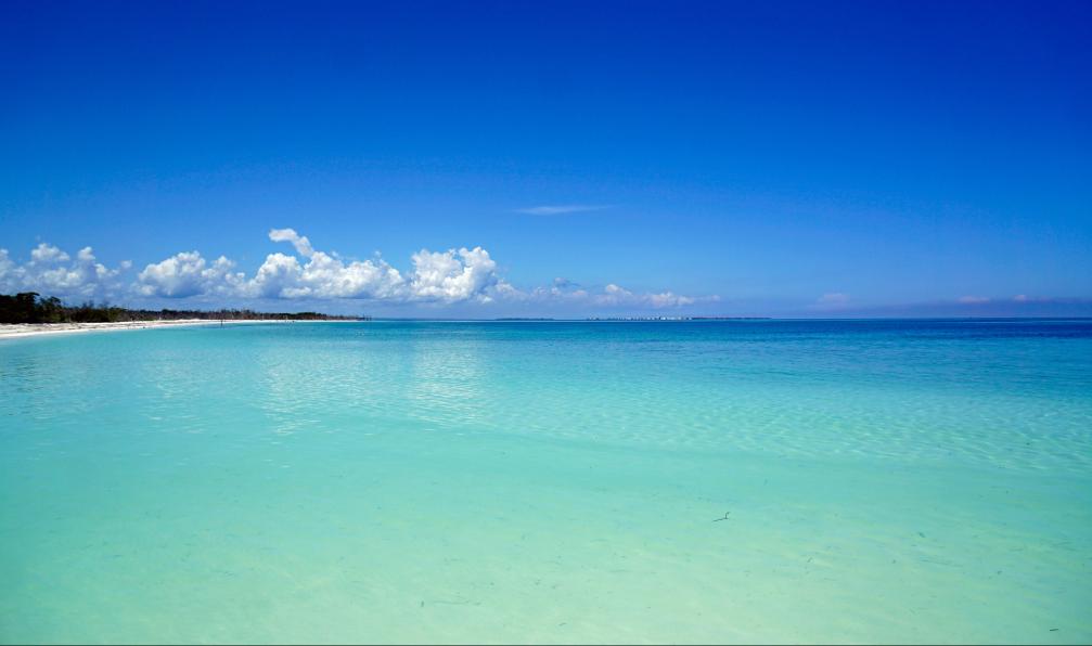 chriss73 - stock.adobe.com - Dégradés de bleus et sable blanc sur l'ile de Cayo blanco, Cuba - Randonnées et merveilles cubaines - 6
