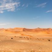 autotour namibie