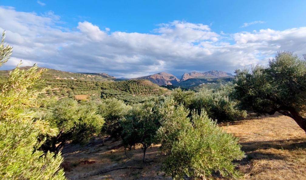 Montani -  Vincent -  Paysage de montagnes, Crète - Des montagnes à la mer : la Crète à vélo - 3