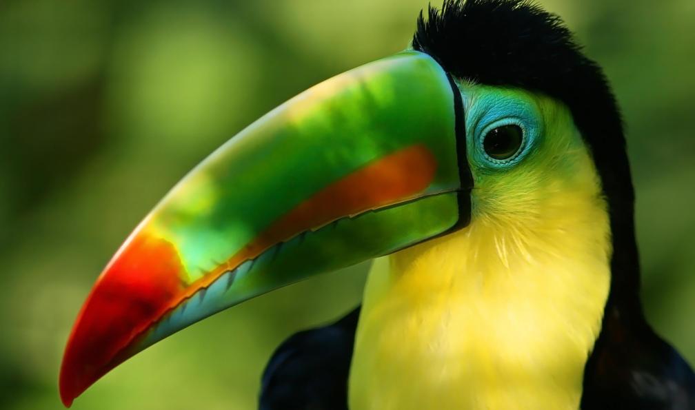 costa-rica-roadtrip-costa-rica