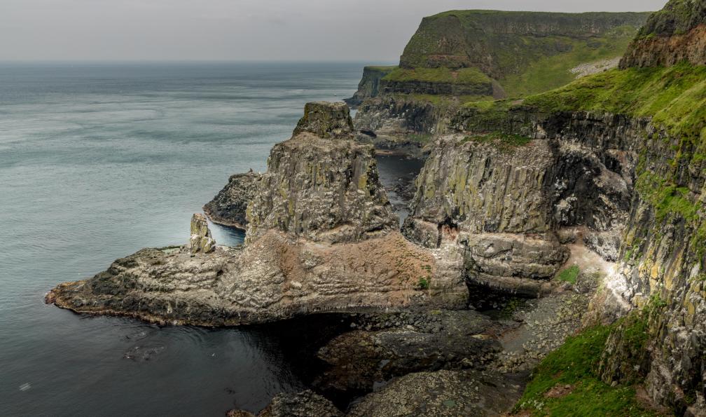 stevie - Adobe Stock - Île Rathlin Ouest, réserve doiseaux RSPB, comté dAntrim, Irlande du Nord - Sur les traces des géants en Irlande du Nord - 10