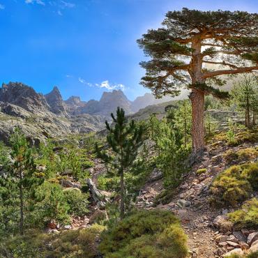 Randonnée en corse du sud Le GR20 sud en liberté Randonnée