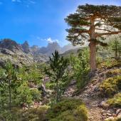 randonnée en corse du sud