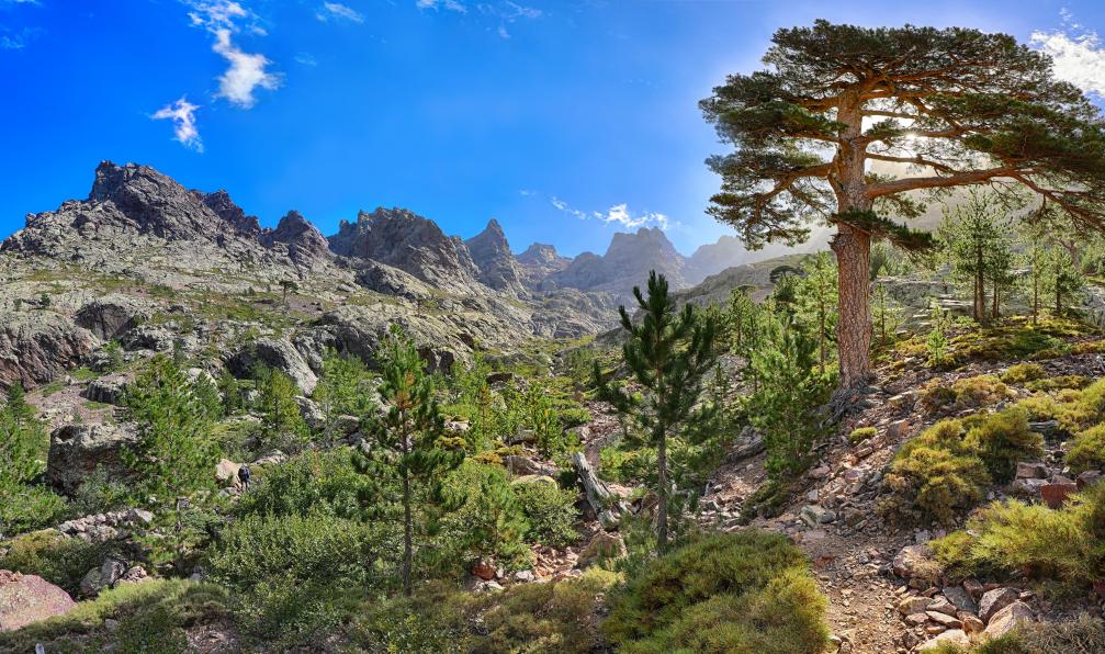 Le GR20 sud en liberté