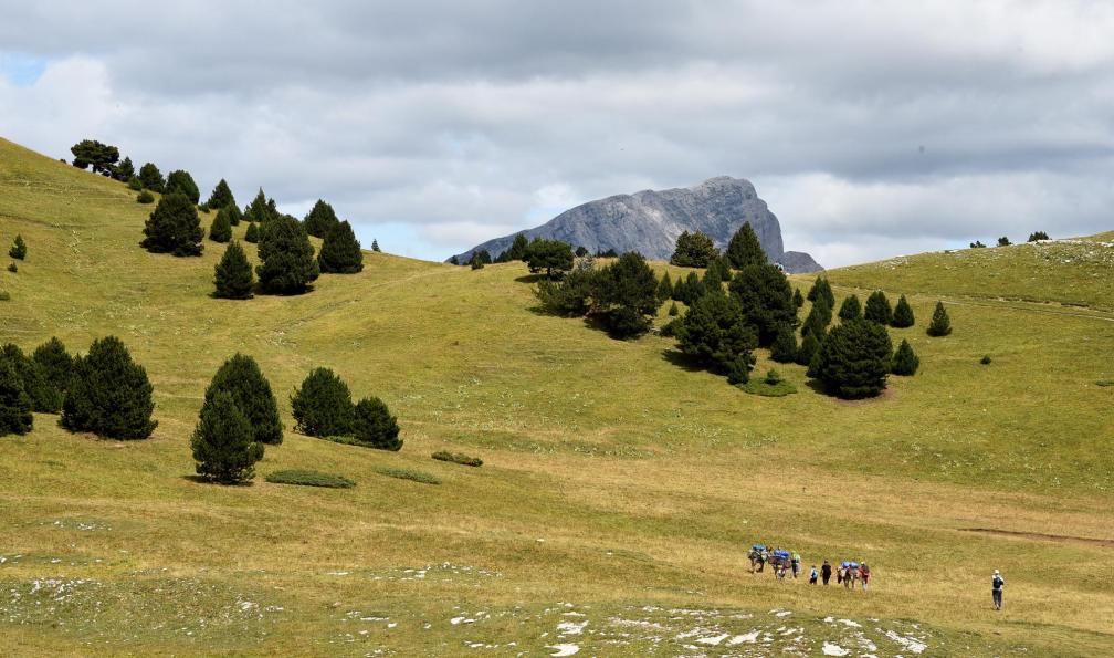 Vercors Escapade - Randonnée en famille avec des ânes, Vercors, France - Mon premier trek dans le Vercors avec un âne - 5