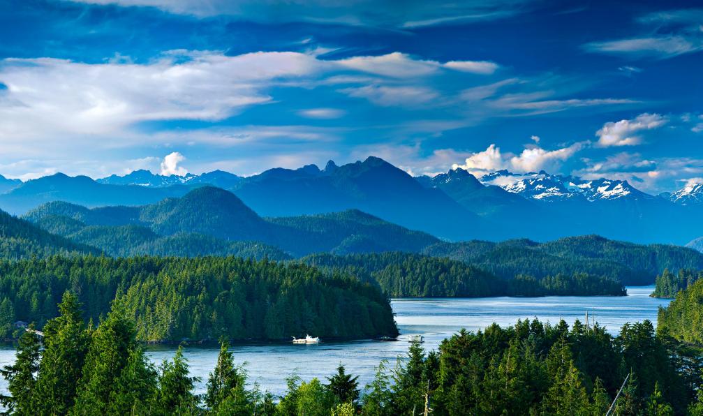 MarkSkalny -  istock -  Vue panoramique de Tofino, île de Vancouver, Canada - Vancouver, escale sur l'océan Pacifique - 1