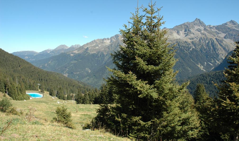 Massif de Belledonne, au-dessus du Pleynet, Sept-Laux, Alpes France. - Secrets et merveilles de Belledonne - 7