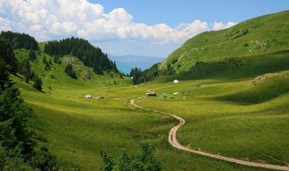 ollirg -  Istock -  Sentier dans le Parc National Biogradska Gora;Monténégro - Le Monténégro, des montagnes au fjord de Kotor - 3