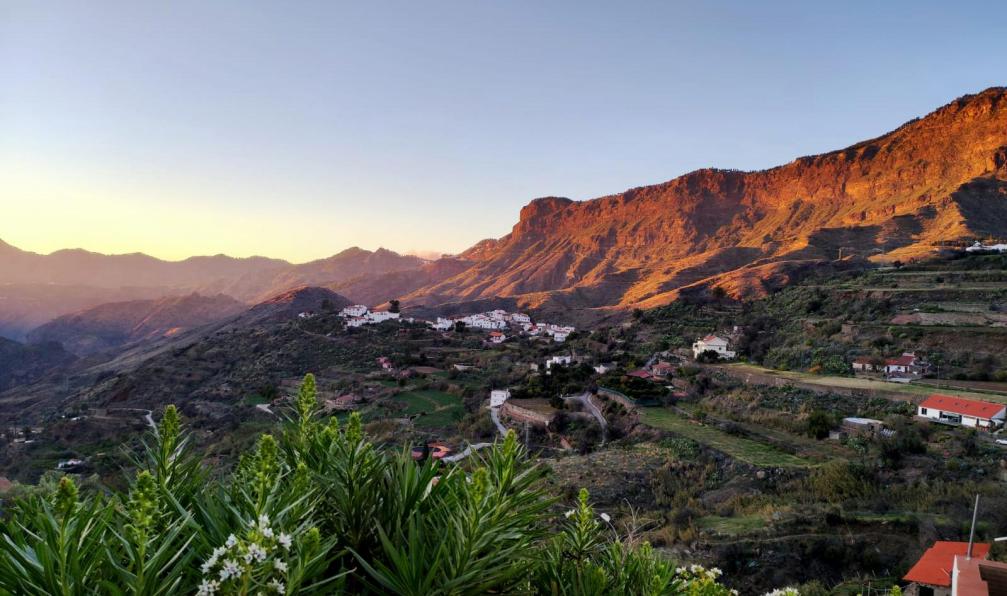 Mandou -  Alicia -  Ville d'Artenara, Gran Canaria - Les richesses de Gran Canaria - 8