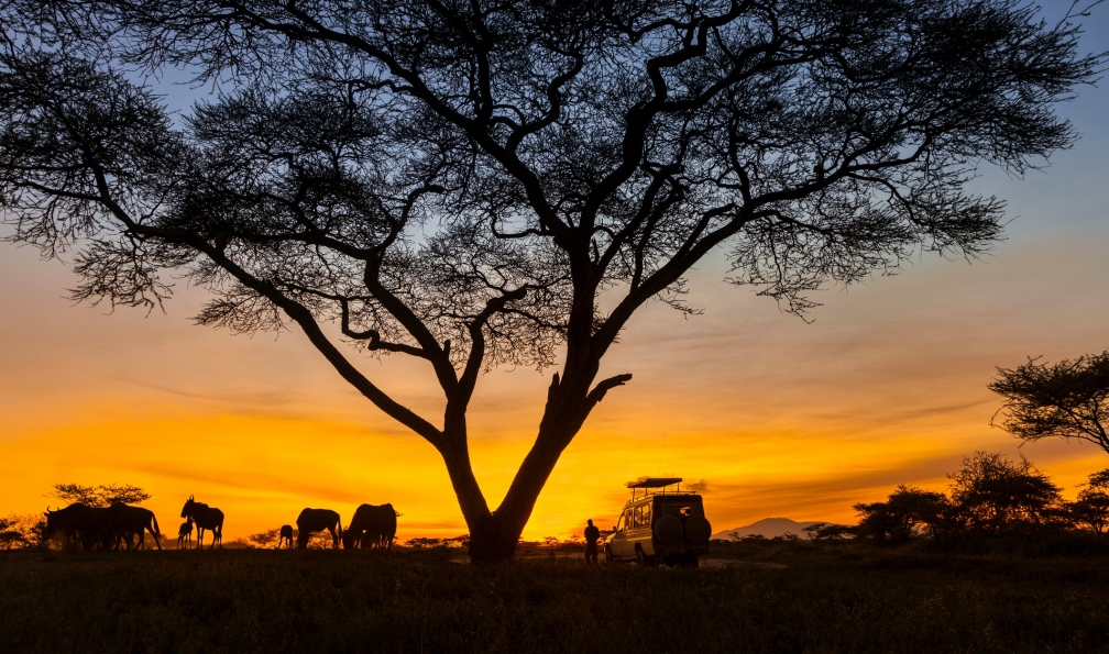 Image Contrastes sud-africains