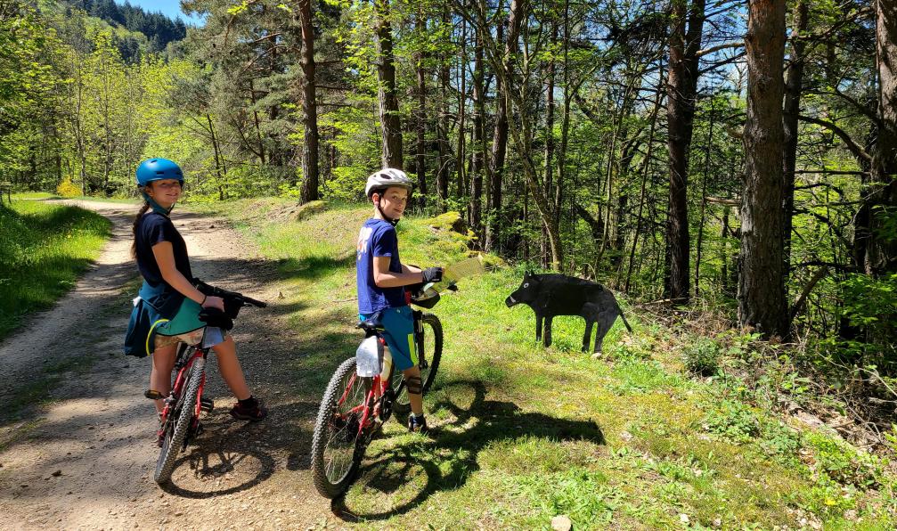 Aurélie Mansiot - Enfants à vélo arrêter devant un panneau de sanglier, sur un chemin en terre en forêt, durant un voyage en famille sur la via dolce, Massif central, Ardèche, France - La Dolce Via à vélo en famille - 5