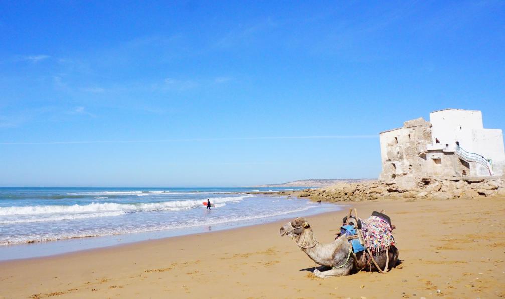 travellife18  -  shutterstock -  Plage de Sidi Kaouki, Maroc - Retour aux sources à Essaouira - 5