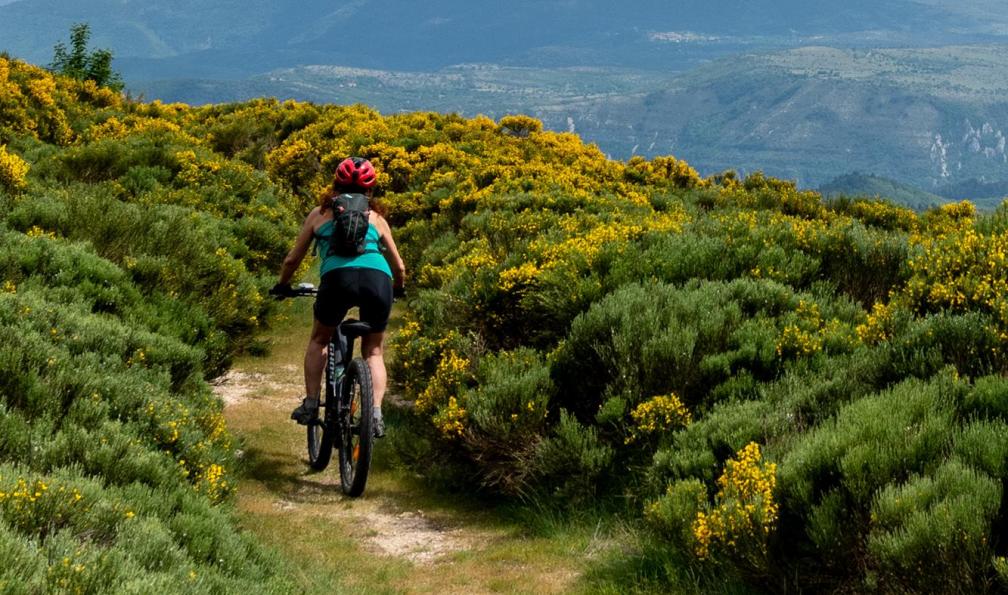 Cigale aventure -  Des Cévennes à la mer en VTT électrique, France - GTMC - Des Cévennes à la mer en VTT électrique - 5