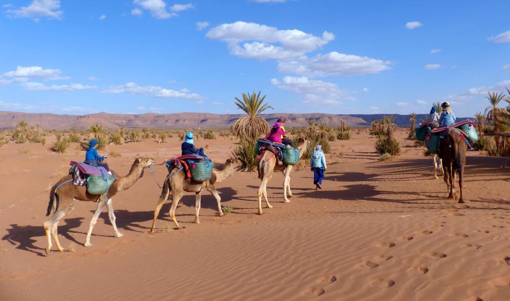 Pellotier -  Christelle -  Randonneurs à dos de chameaux dans la palmeraie Aït Issfoul, Maroc - Rêves de sable à Merzouga - 3