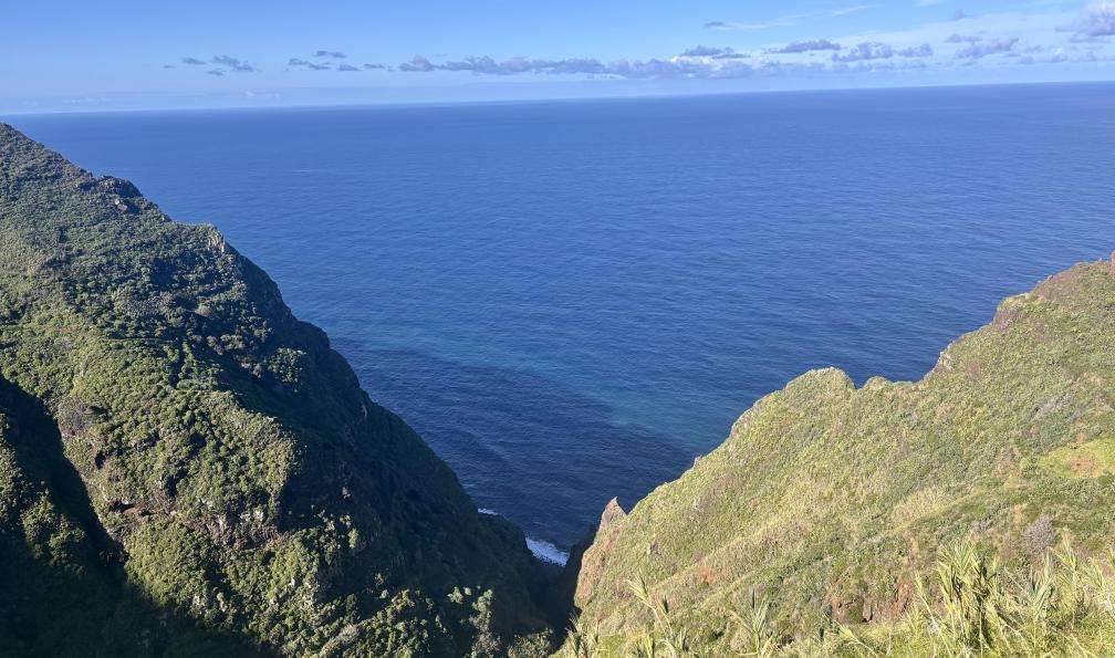 Gea - Charlotte - Falaises plongeant dans l'océan, Porto Moniz, Madère - Les incontournables de Madère en liberté - 2