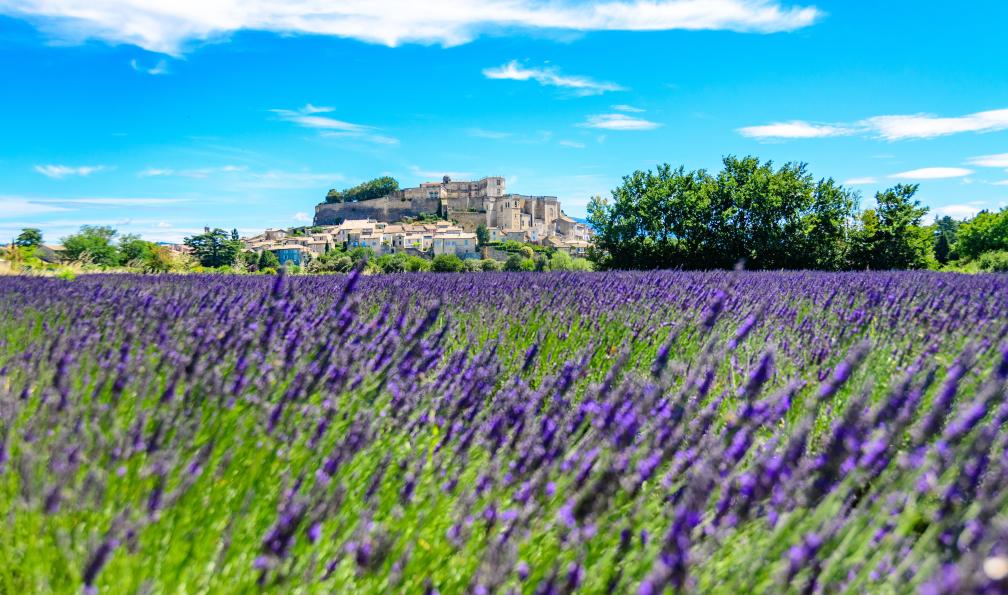 Dannhauer - Simon - Adobe Stock - Champs de lavandes devant le village de Gordes, Lubéron, France - Luberon et la magie des ocres - 1