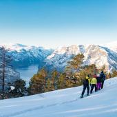 découverte hivernale des fjords norvégiens