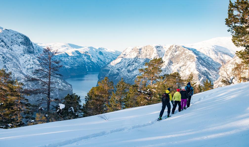 Découverte hivernale des fjords norvégiens